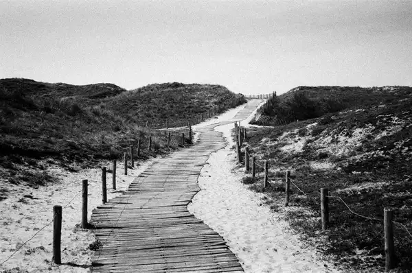 Black-and-white view of a wooden boardwalk running between grassy dunes towards the beach