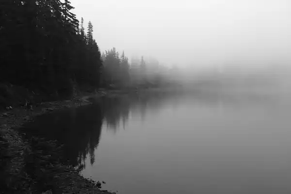 Black-and-white view of a still lake whose far shore of pines fades into fog