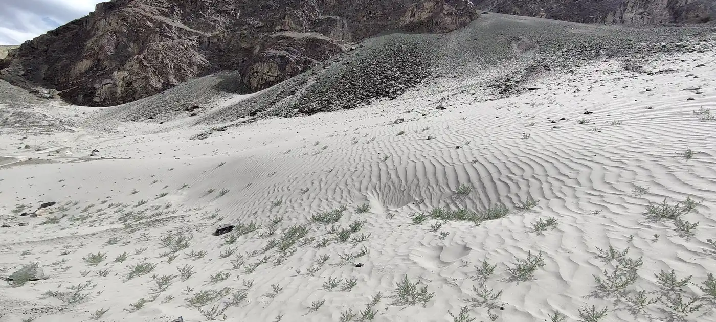 Black-and-white panorama of soft sand dunes in front of a rocky mountainside