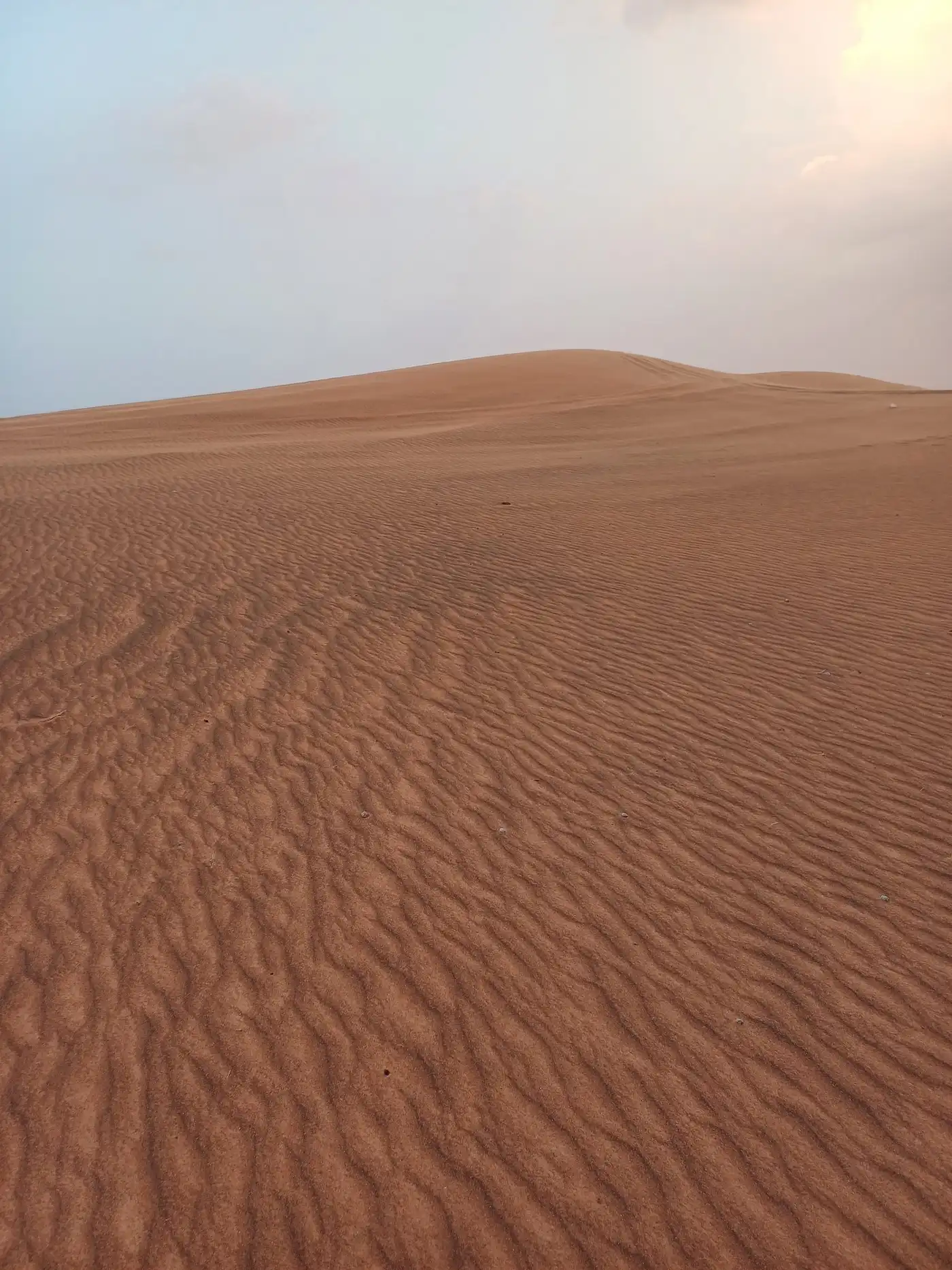 A rust-red desert dune with fine wind ripples under a hazy sky