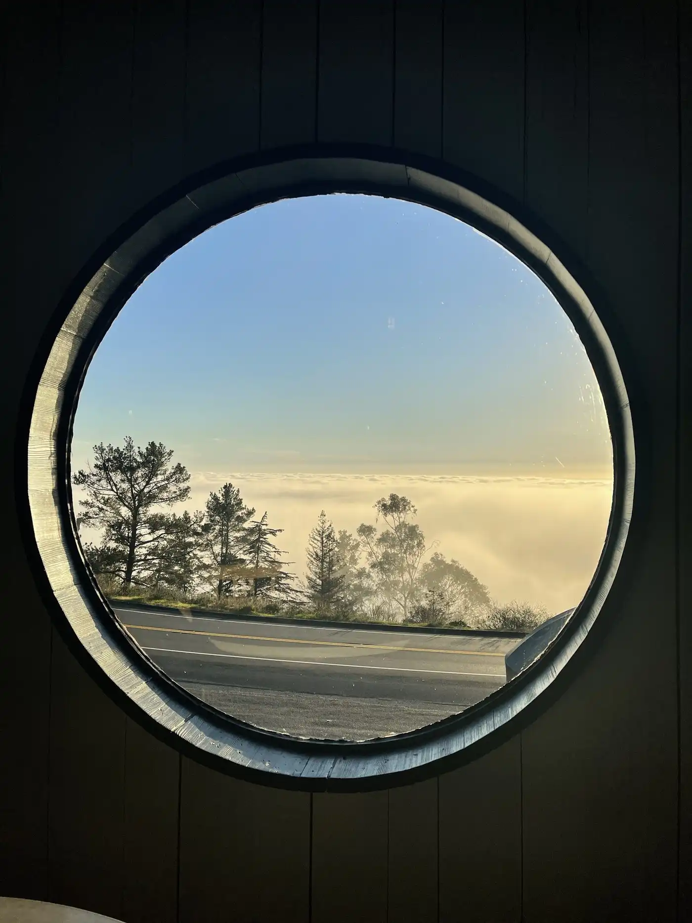A round black window framing pine trees and a sea of low cloud under a clear sky